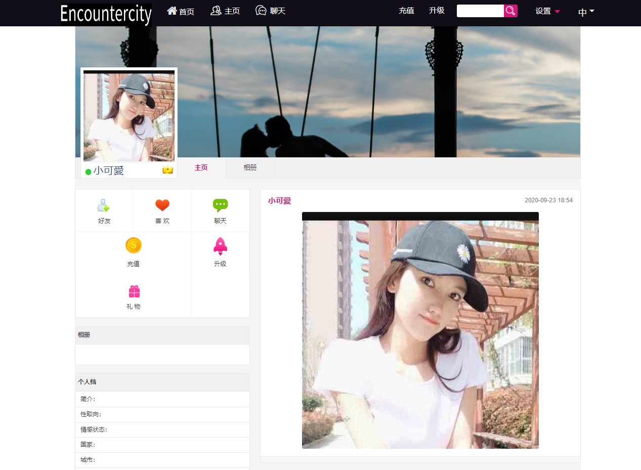 全球最专业的国际交友恋爱网站大型国际交友网交友网站12国语言  1164无名网络